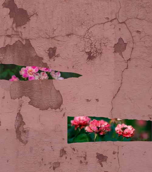 Walls